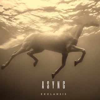 Cover artwork for Exulansis by Async