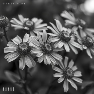 Cover artwork for Other Side by Async
