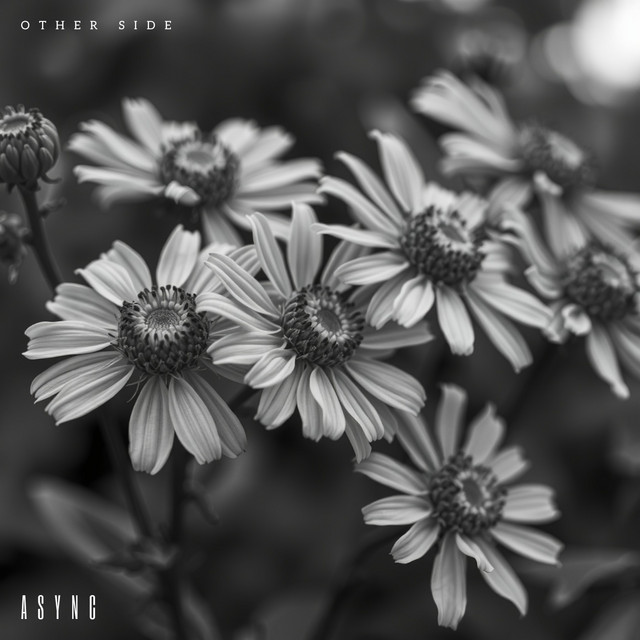Cover artwork for Other Side by Async
