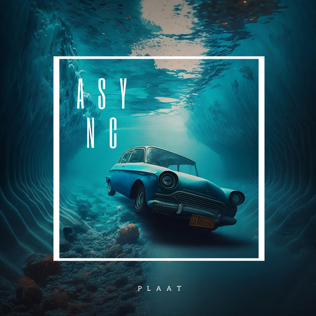 Cover artwork for Plaat by Async