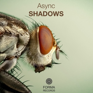 Cover artwork for Shadows by Async