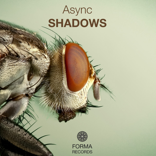 Cover artwork for Shadows by Async